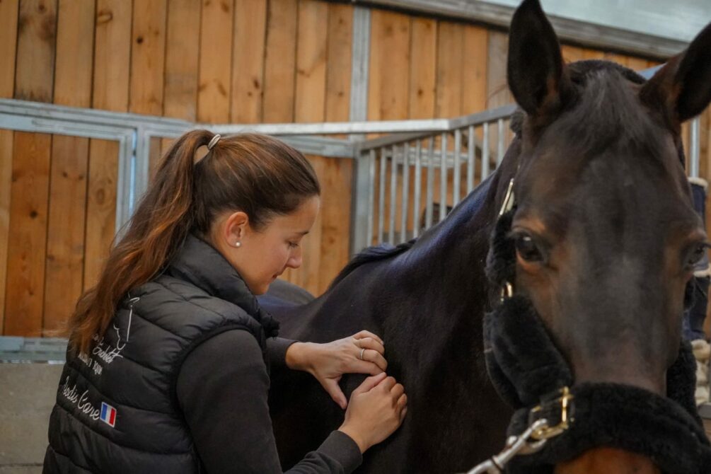 Annuaire des professionnels 13 masseur equin
