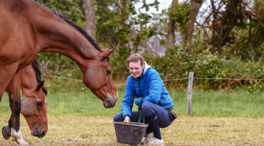 Ces experts indispensables mais trop souvent oubliés pour la santé du cheval