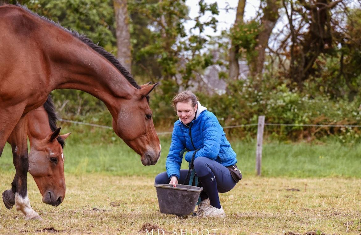 Je suis propriétaire 7 santé du cheval
