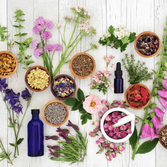 naturopathie équine