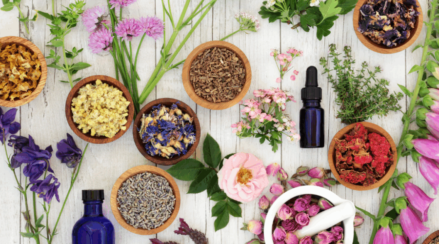 Et si la naturopathie pouvait transformer la santé de votre cheval ?