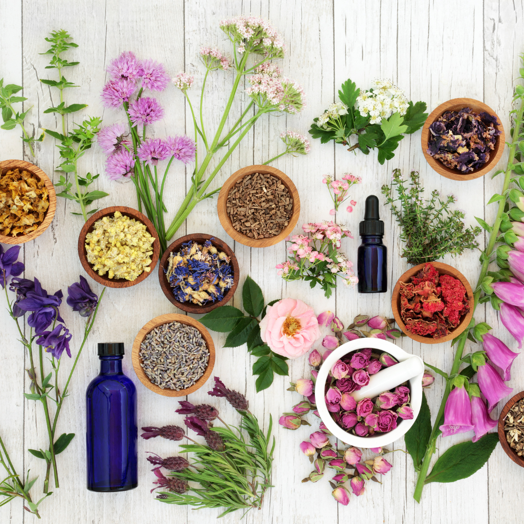 Je suis propriétaire 6 naturopathie équine