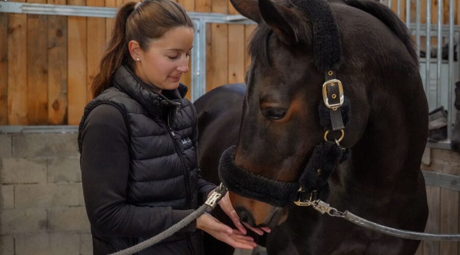 Masseur équin, nutritionniste, saddle fitter : comment trouver le bon professionnel pour son cheval ?
