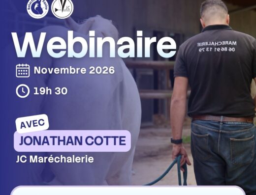 Ferrure orthopédique : Solution ou fausse bonne Idée ?