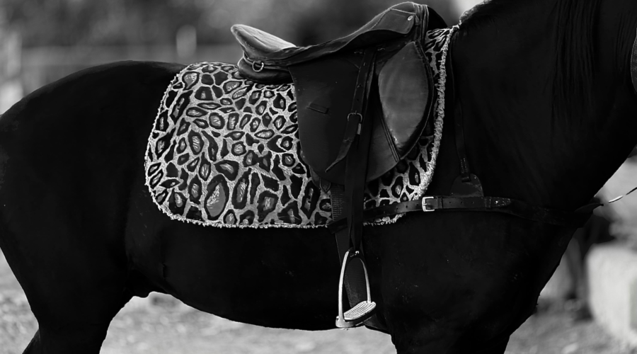 Comment savoir si ma selle fait mal à mon cheval ?