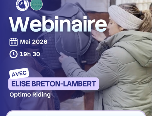 Saddle fitting : transformer votre équitation et votre cheval
