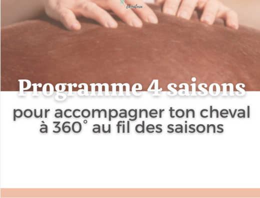 Programme 4 saisons
