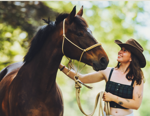Ebook « comprendre la relation humain-cheval en 7 étapes »