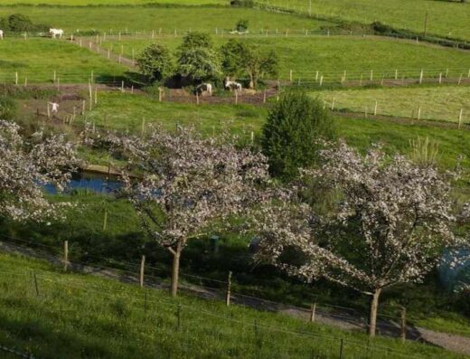 La Source Des Horbins