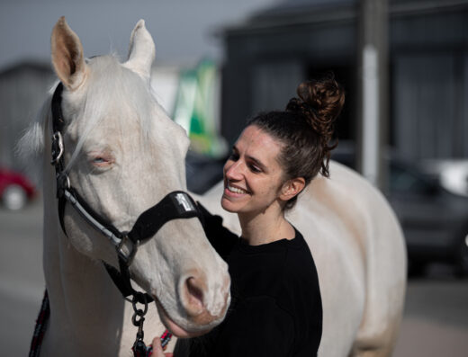 Emeline Colmant – Massage et shiatsu équin