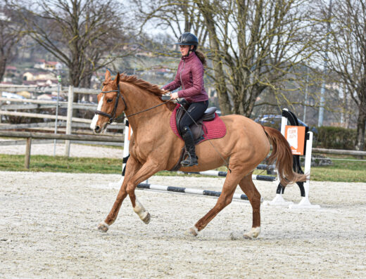 Norine Equestrian, Coach et cavalière