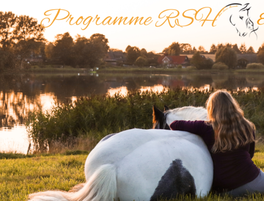 Programme Relation Saine et Harmonieuse avec mon cheval