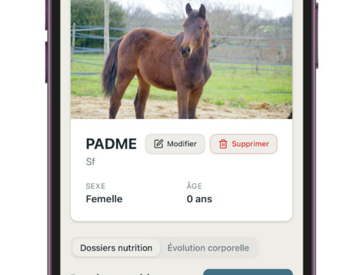 Calcul et optimisation de ration