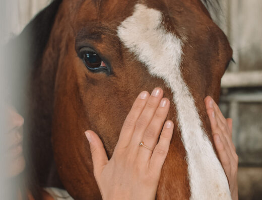 Equi-Corps