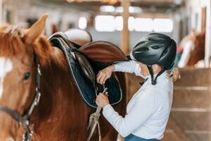 Asthme équin (2025) : reconnaître, diagnostiquer et agir sans se tromper – Cheval & Co 6 Avocat spécialisé en droit équin : comment trouver le bon professionnel ?