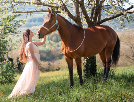 Séance photo avec votre cheval