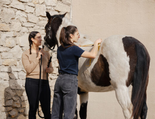 Enseignement et Saddle Fitting dans les Pyrénées Atlantiques