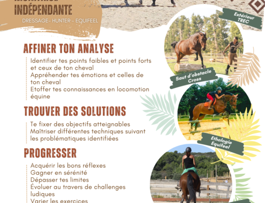 Cours d&rsquo;équitation – monté et/ou à pied