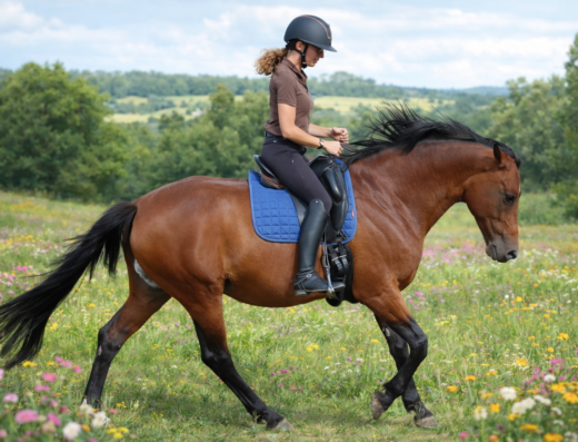 EQUI-MAM SRL_COACHING