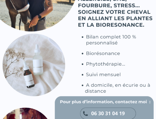 Equi&rsquo;Natural – Naturopathe Equin
