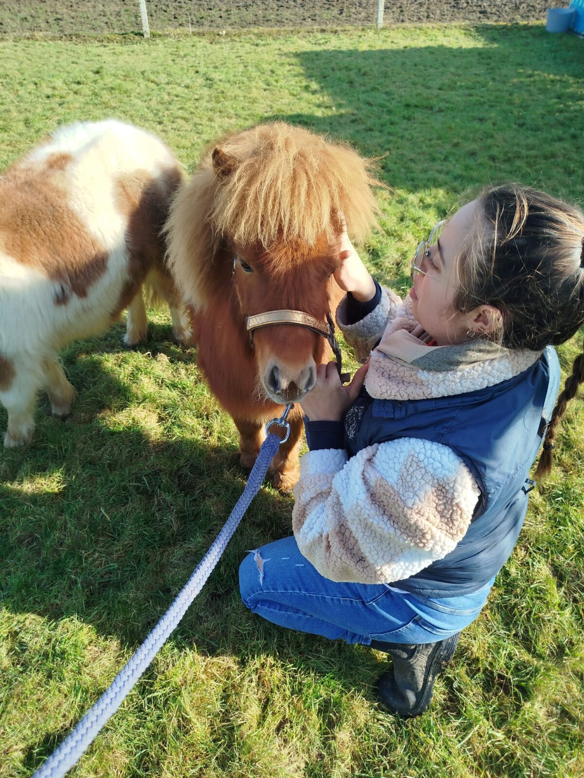 Cheval & Co — Trouvez un professionnel équin près de chez vous – Cheval & Co 36 Shiatsu, phytothérapie et bien-être global
