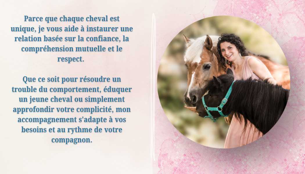 Cheval & Co — Trouvez un professionnel équin près de chez vous – Cheval & Co 34 SGC – Education comportementalisme équin