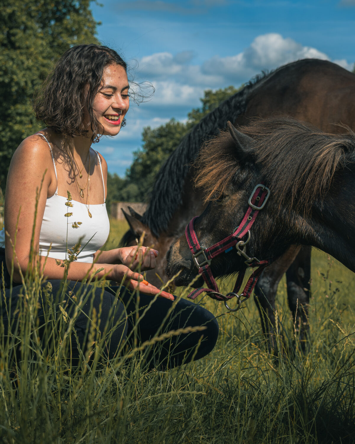 Cheval & Co — Trouvez un professionnel équin près de chez vous – Cheval & Co 32 Débrider – Comportementaliste équin