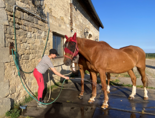 Marie Gauthier EI – Horse-sitting